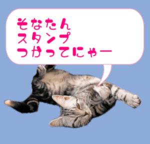 画像の説明 画像の説明